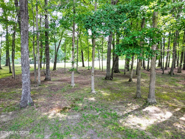 215 Snead Dr, Crossville, TN 38558 - photo 13