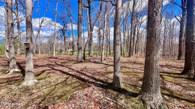 215 Snead Dr, Crossville, TN 38558 - photo 48
