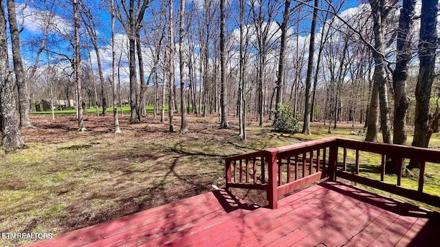 215 Snead Dr, Crossville, TN 38558 - photo 49
