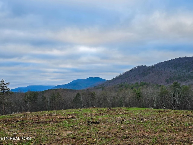 624 Creek Rd, Reliance, TN 37369