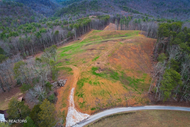 624 Creek Rd, Reliance, TN 37369