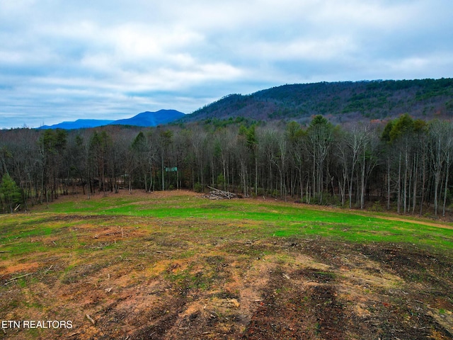 624 Creek Rd, Reliance, TN 37369
