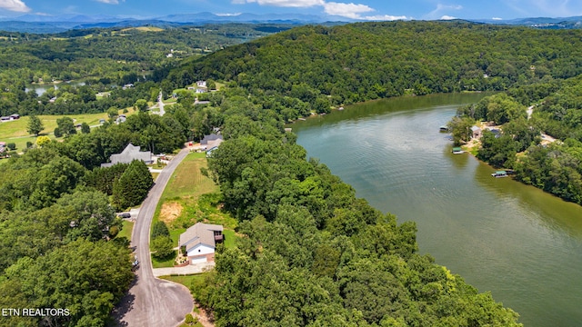 127 Lakeview Dr, Harriman, TN 37748 - photo 4