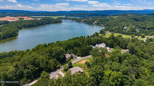 127 Lakeview Dr, Harriman, TN 37748 - photo 33