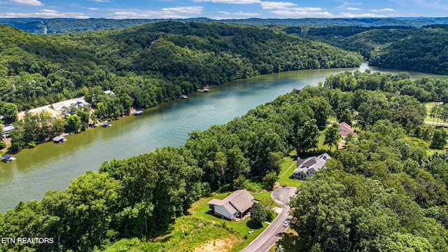 127 Lakeview Dr, Harriman, TN 37748 - photo 34