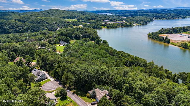 127 Lakeview Dr, Harriman, TN 37748 - photo 35