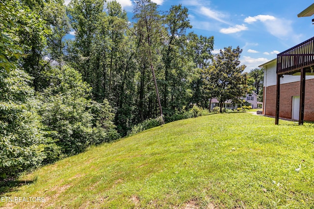 127 Lakeview Dr, Harriman, TN 37748 - photo 30