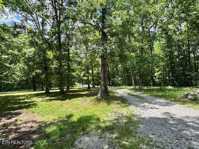 1101 Franklin Loop, Clarkrange, TN 38553 - view of dirt / gravel road with a wooded view