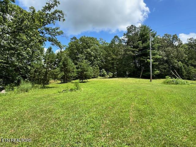 1101 Franklin Loop, Clarkrange, TN 38553 - view of grassy yard