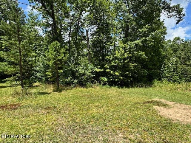 1101 Franklin Loop, Clarkrange, TN 38553 - view of undeveloped land