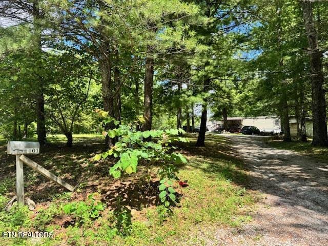 1101 Franklin Loop, Clarkrange, TN 38553 - view of dirt / gravel road
