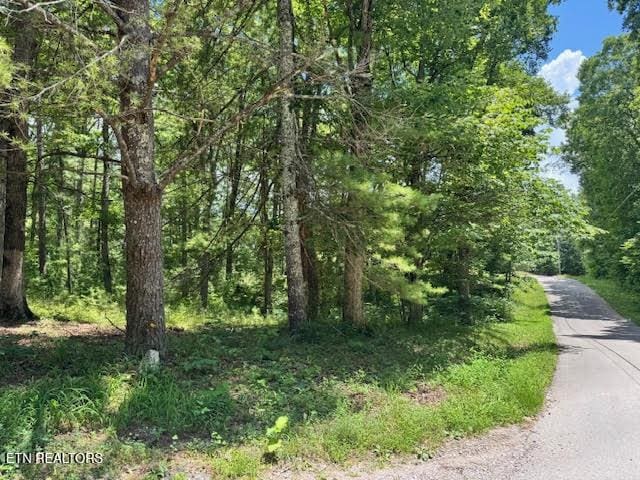 1101 Franklin Loop, Clarkrange, TN 38553 - view of wooded area
