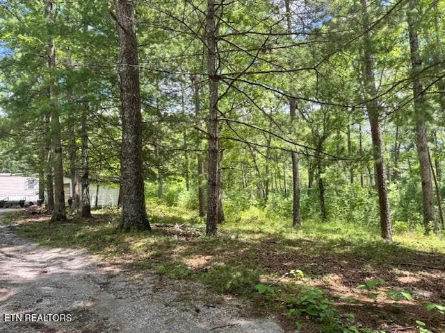 1101 Franklin Loop, Clarkrange, TN 38553 - view of woods