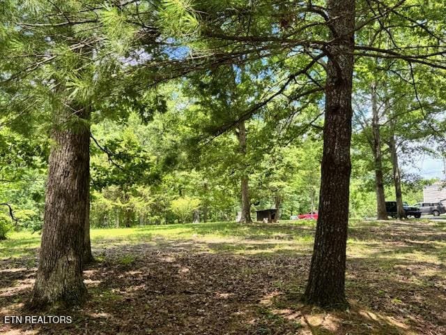 1101 Franklin Loop, Clarkrange, TN 38553 - view of local wilderness