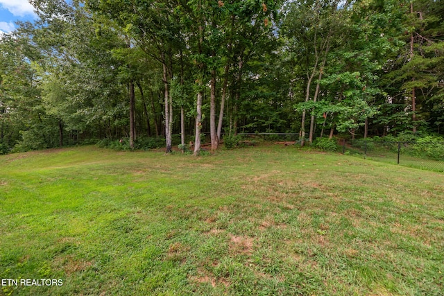 195 Coleman Ln, Powell, TN 37849 - photo 31