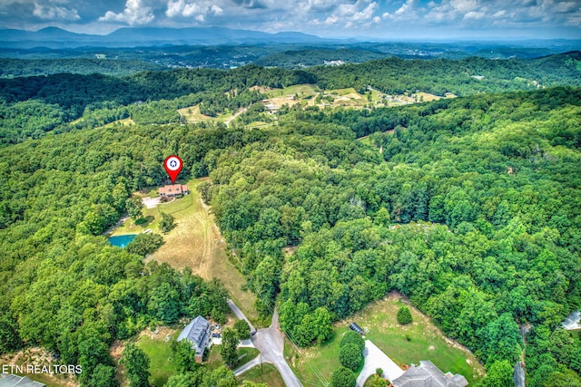 195 Coleman Ln, Powell, TN 37849 - photo 41