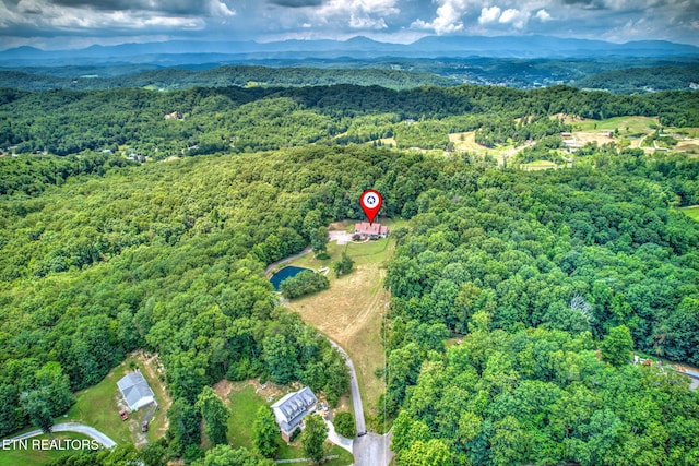 195 Coleman Ln, Powell, TN 37849 - photo 43