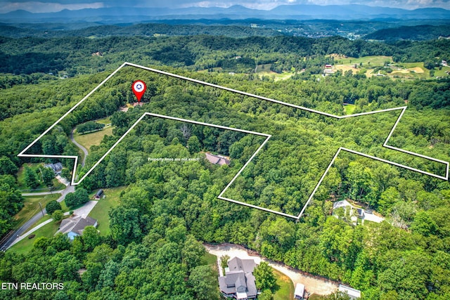 195 Coleman Ln, Powell, TN 37849 - photo 45