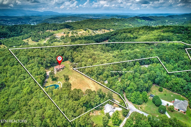 195 Coleman Ln, Powell, TN 37849 - photo 46