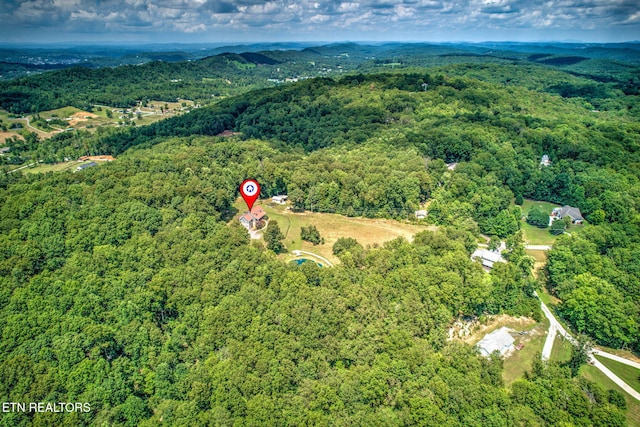 195 Coleman Ln, Powell, TN 37849 - photo 39