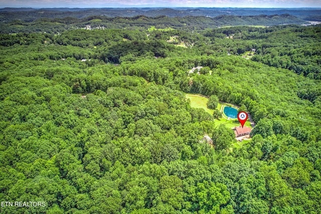 195 Coleman Ln, Powell, TN 37849 - photo 40