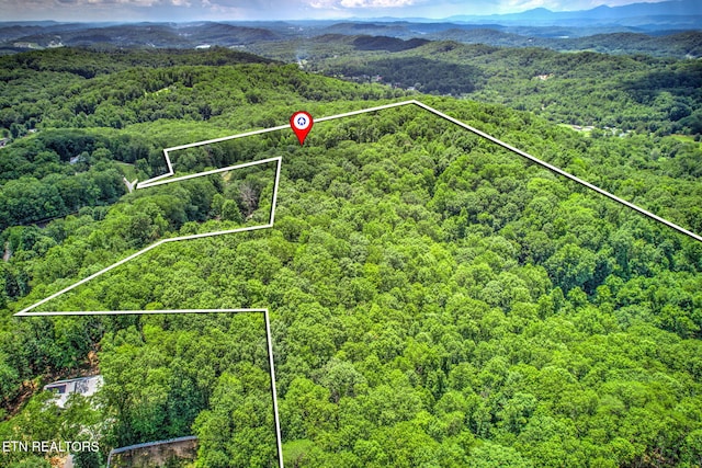 195 Coleman Ln, Powell, TN 37849 - photo 44