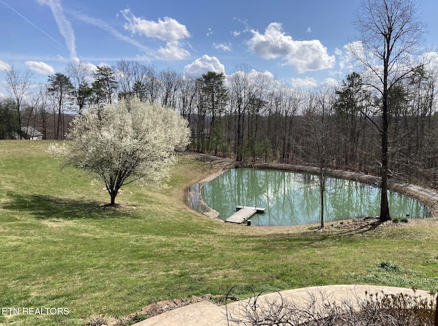 195 Coleman Ln, Powell, TN 37849 - photo 32