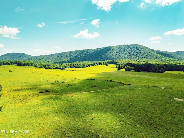 White Oak Cir, Sunbright, TN 37872