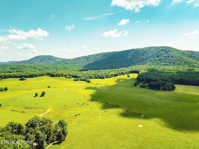 White Oak Cir, Sunbright, TN 37872