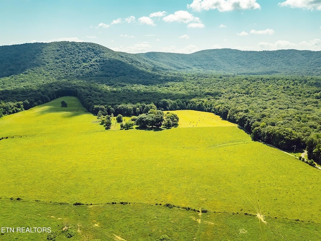White Oak Cir, Sunbright, TN 37872