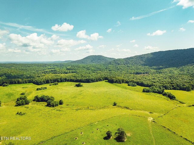 White Oak Cir, Sunbright, TN 37872