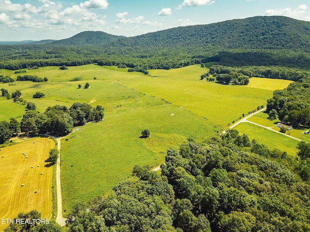 White Oak Cir, Sunbright, TN 37872