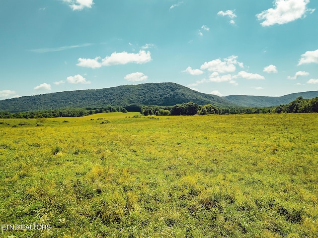White Oak Cir, Sunbright, TN 37872