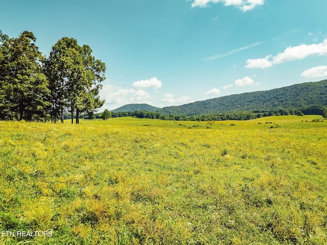 White Oak Cir, Sunbright, TN 37872