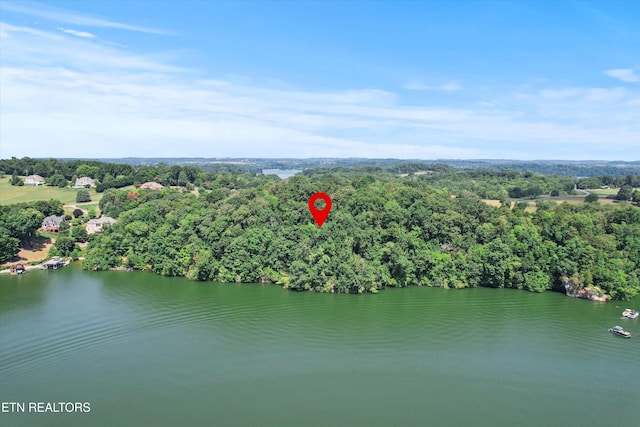 4024 Taliaferro Cir, Louisville, TN 37777 - photo 1