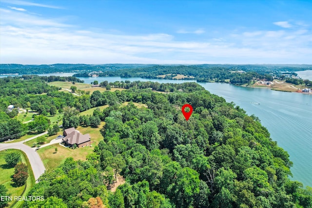 4024 Taliaferro Cir, Louisville, TN 37777 - photo 6