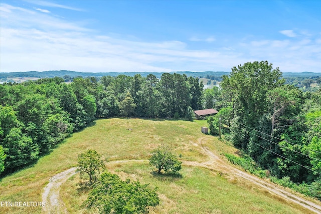 4024 Taliaferro Cir, Louisville, TN 37777 - photo 10