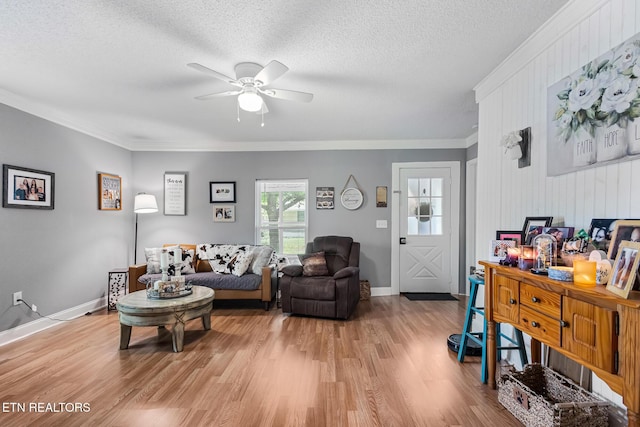 121 N Niota Rd, Englewood, TN 37329 - living area with crown molding, ceiling fan, light wood finished floors, and a textured ceiling