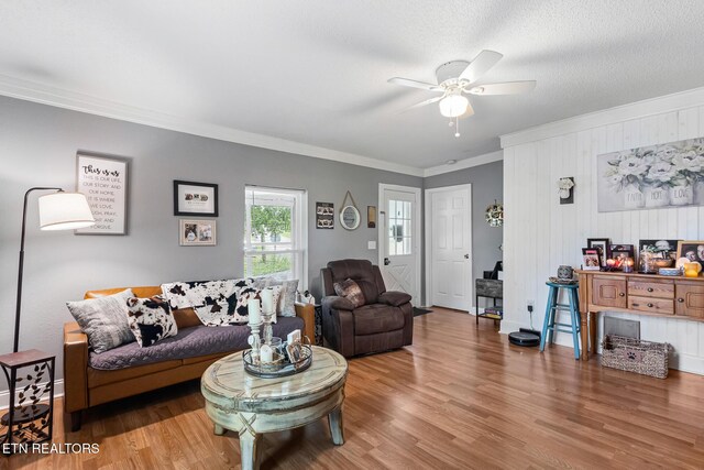 121 N Niota Rd, Englewood, TN 37329 - living area with crown molding, ceiling fan, and wood finished floors
