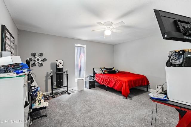 121 N Niota Rd, Englewood, TN 37329 - bedroom featuring carpet flooring and a ceiling fan
