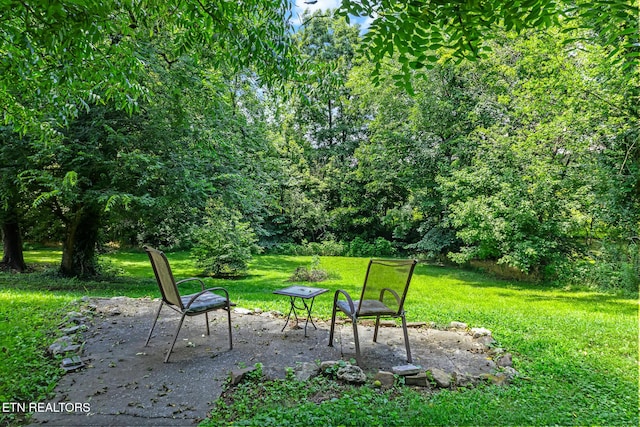121 N Niota Rd, Englewood, TN 37329 - view of green lawn featuring a patio area