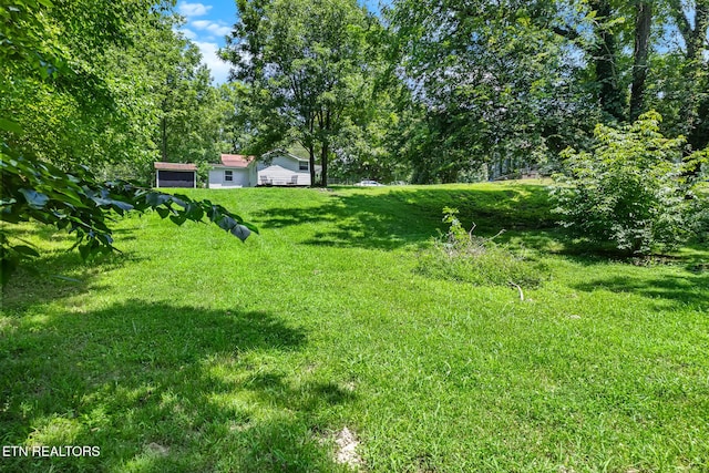 121 N Niota Rd, Englewood, TN 37329 - view of green lawn with an attached garage