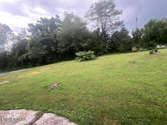 114 Red Cedar Rd, Lafollette, TN 37766 - view of green lawn