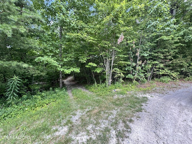 E Loomis Rd, Jamestown, TN 38556