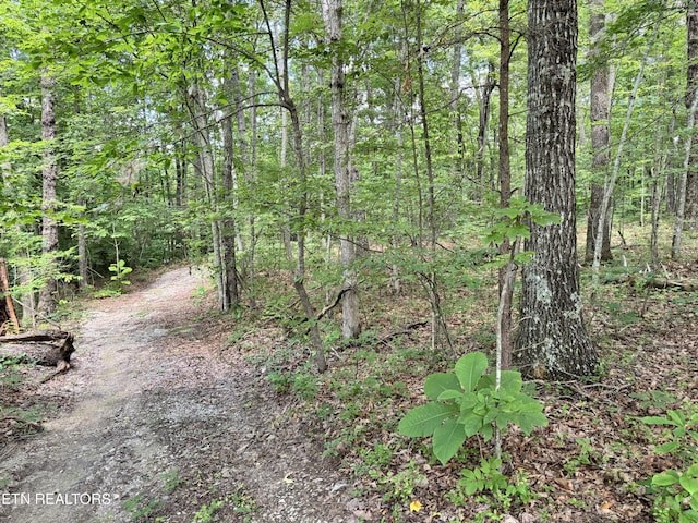 E Loomis Rd, Jamestown, TN 38556