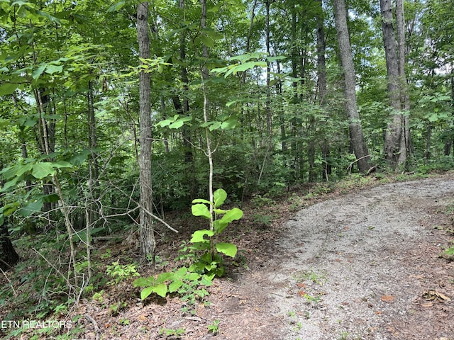 E Loomis Rd, Jamestown, TN 38556