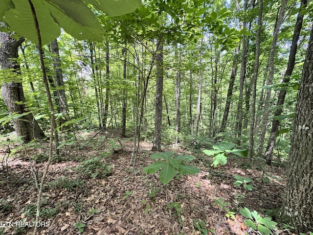 E Loomis Rd, Jamestown, TN 38556