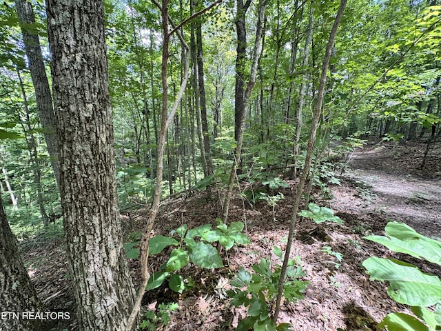 E Loomis Rd, Jamestown, TN 38556