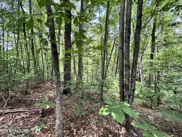 E Loomis Rd, Jamestown, TN 38556