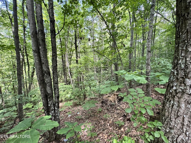 E Loomis Rd, Jamestown, TN 38556